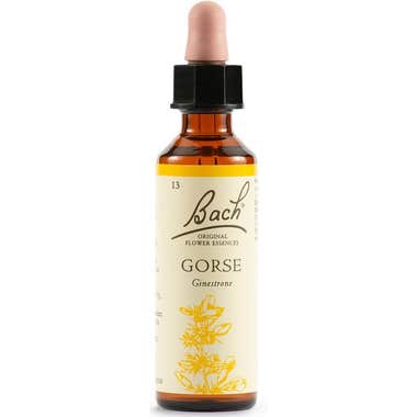 Clarins Gorse Bach Original 20ml